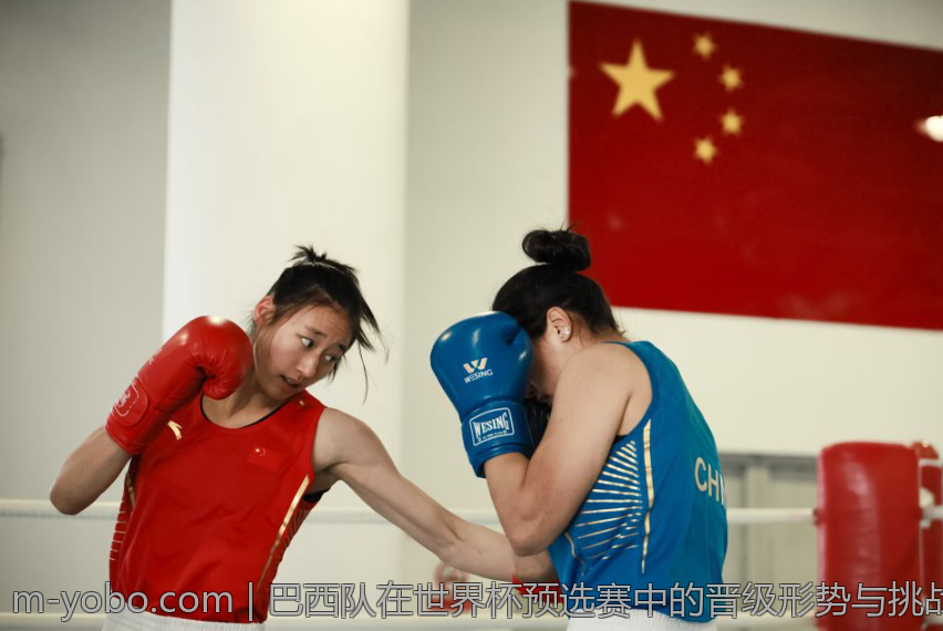 巴西队在世界杯预选赛中的晋级形势与挑战