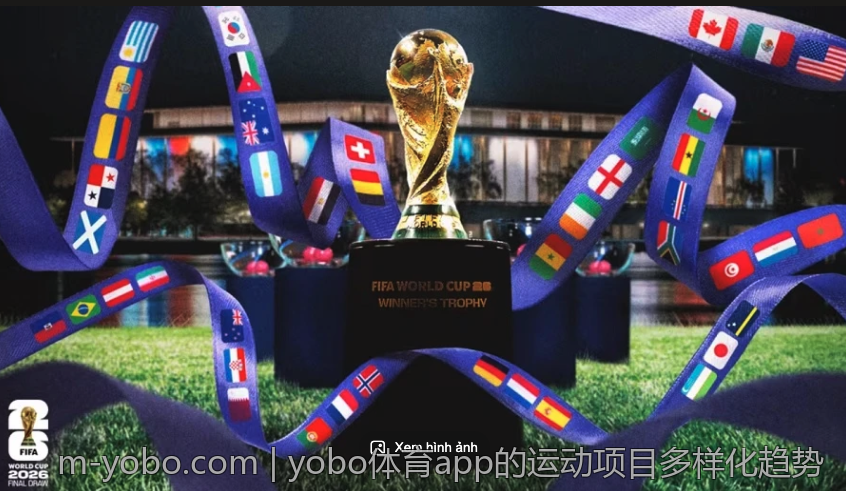 yobo体育app对比其他体育平台的市场优势